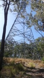 Hardings PaddockAug22 112 P1000661 scaled Hardings PaddockAug22 112 P1000661 scaled