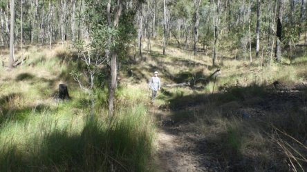 Hardings PaddockAug22 113 P1000662 scaled Hardings PaddockAug22 113 P1000662 scaled