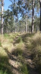 Hardings PaddockAug22 114 P1000663 scaled Hardings PaddockAug22 114 P1000663 scaled