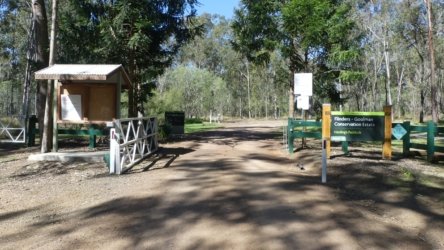 Hardings PaddockAug22 115 P1000664 scaled Hardings PaddockAug22 115 P1000664 scaled