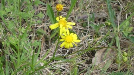 Hardings1022 009 P1010126 Copy scaled Hardings1022 009 P1010126 Copy scaled