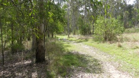 Hardings1022 011 P1010128 Copy scaled Hardings1022 011 P1010128 Copy scaled