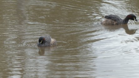 Hardings1022 025 P1010142 Copy scaled Hardings1022 025 P1010142 Copy scaled