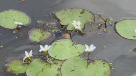 Hardings1022 034 P1010151 Copy scaled Hardings1022 034 P1010151 Copy scaled