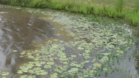 Hardings1022 035 P1010152 Copy scaled Hardings1022 035 P1010152 Copy scaled