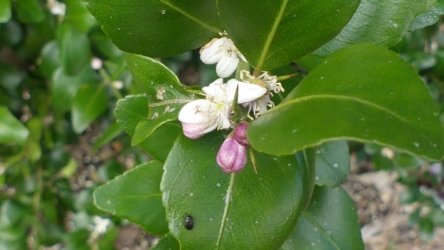 Hardings1022 037 P1010154 Copy scaled Hardings1022 037 P1010154 Copy scaled