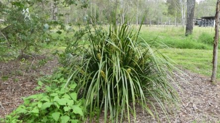 Hardings1022 039 P1010164 Copy scaled Hardings1022 039 P1010164 Copy scaled