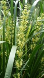 Hardings1022 042 P1010167 Copy scaled Hardings1022 042 P1010167 Copy scaled