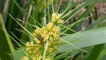 Hardings1022 043 P1010168 Copy scaled Hardings1022 043 P1010168 Copy scaled