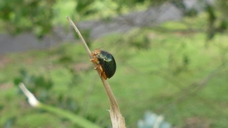 Hardings1022 044 P1010169 Copy scaled Hardings1022 044 P1010169 Copy scaled