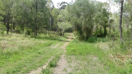 Hardings1022 059 P1010190 Copy scaled Hardings1022 059 P1010190 Copy scaled