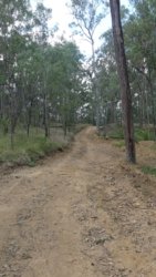 Hardings1022 062 P1010193 Copy scaled Hardings1022 062 P1010193 Copy scaled