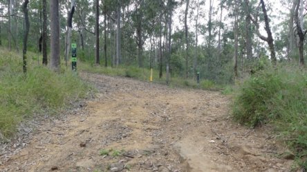 Hardings1022 063 P1010194 Copy scaled Hardings1022 063 P1010194 Copy scaled