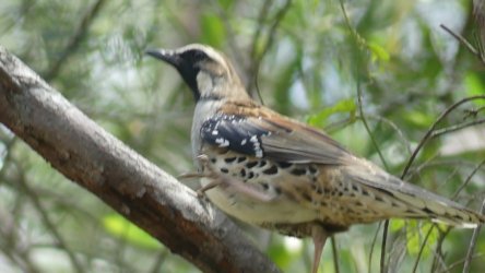 Hardings1022 078 P1010209 Copy scaled Hardings1022 078 P1010209 Copy scaled