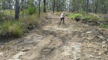 Hardings1022 084 P1010215 Copy scaled Hardings1022 084 P1010215 Copy scaled