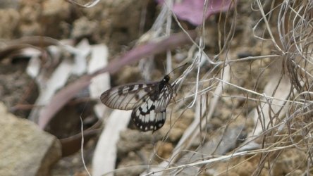 Hardings1022 095 P1010226 Copy scaled Hardings1022 095 P1010226 Copy scaled