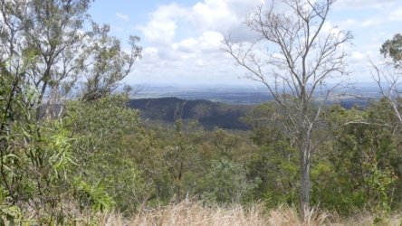 Hardings1022 105 P1010236 Copy scaled Hardings1022 105 P1010236 Copy scaled