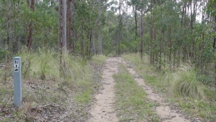 Hardings1022 134 P1010265 Copy scaled Hardings1022 134 P1010265 Copy scaled