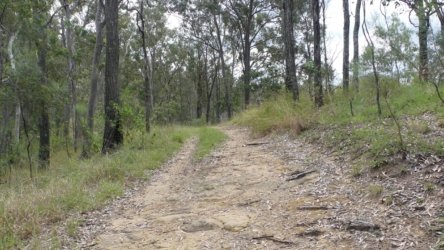 Hardings1022 139 P1010270 Copy scaled Hardings1022 139 P1010270 Copy scaled