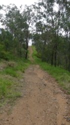 Hardings1022 154 P1010285 Copy scaled Hardings1022 154 P1010285 Copy scaled