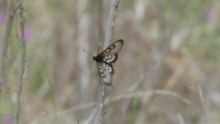 Hardings1022 159 P1010290 Copy scaled Hardings1022 159 P1010290 Copy scaled