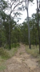 Hardings1022 160 P1010291 Copy scaled Hardings1022 160 P1010291 Copy scaled