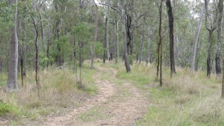 Hardings1022 164 P1010295 Copy scaled Hardings1022 164 P1010295 Copy scaled