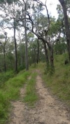 Hardings1022 173 P1010304 Copy scaled Hardings1022 173 P1010304 Copy scaled