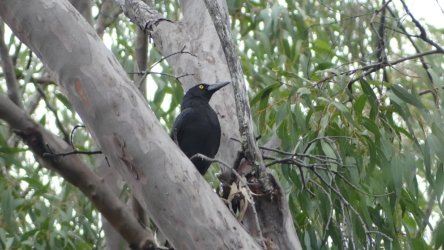 Hardings1022 178 P1010309 Copy scaled Hardings1022 178 P1010309 Copy scaled