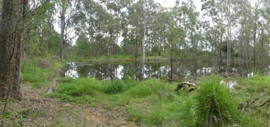 Hardings1022 184 P1010315 scaled Hardings1022 184 P1010315 scaled