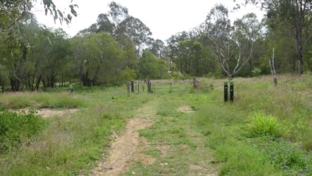 Hardings1022 191 P1010322 scaled Hardings1022 191 P1010322 scaled