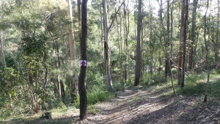 Karingal Scout Camp 007 P1000442 scaled Karingal Scout Camp 007 P1000442 scaled