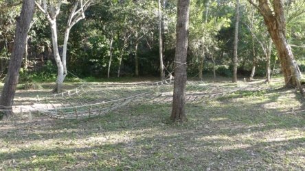 Karingal Scout Camp 015 P1000450 scaled Karingal Scout Camp 015 P1000450 scaled