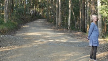 Karingal Scout Camp 020 P1000455 scaled Karingal Scout Camp 020 P1000455 scaled