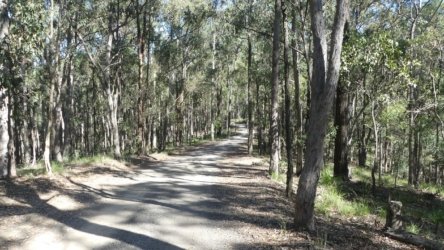Karingal Scout Camp 025 P1000460 scaled Karingal Scout Camp 025 P1000460 scaled