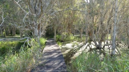 Karingal Scout Camp 029 P1000464 scaled Karingal Scout Camp 029 P1000464 scaled
