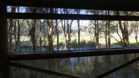 Karingal Scout Camp 031 P1000466 scaled Karingal Scout Camp 031 P1000466 scaled