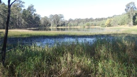 Karingal Scout Camp 032 P1000467 scaled Karingal Scout Camp 032 P1000467 scaled
