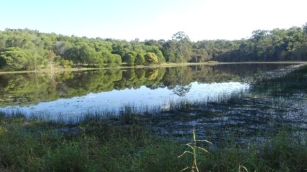 Karingal Scout Camp 038 P1000473 scaled Karingal Scout Camp 038 P1000473 scaled