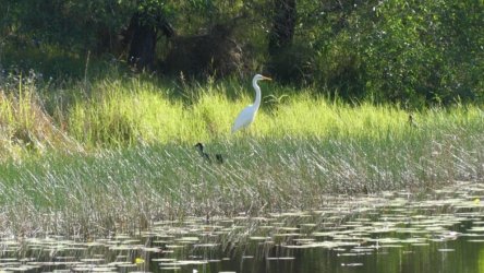 Karingal Scout Camp 039 P1000474 scaled Karingal Scout Camp 039 P1000474 scaled