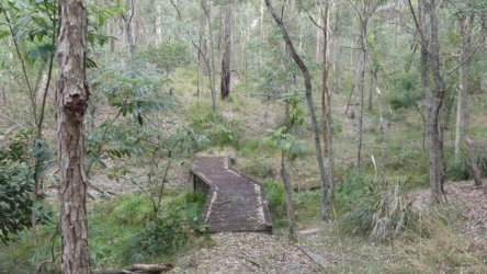 Karingal Scout Camp 071 P1000507 scaled Karingal Scout Camp 071 P1000507 scaled