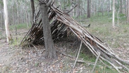 Karingal Scout Camp 073 P1000509 scaled Karingal Scout Camp 073 P1000509 scaled