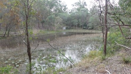 Karingal Scout Camp 075 P1000511 scaled Karingal Scout Camp 075 P1000511 scaled