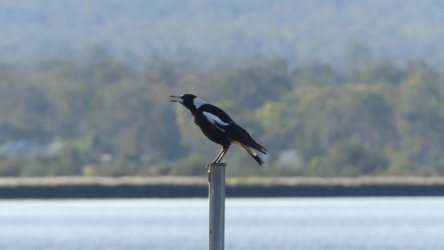 Lake Clarendon 012 P1000967 scaled Lake Clarendon 012 P1000967 scaled