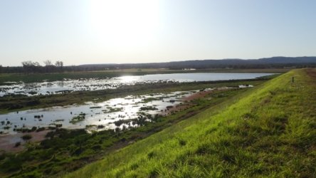Lake Clarendon 019 P1000974 scaled Lake Clarendon 019 P1000974 scaled