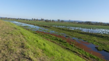 Lake Clarendon 023 P1000978 scaled Lake Clarendon 023 P1000978 scaled