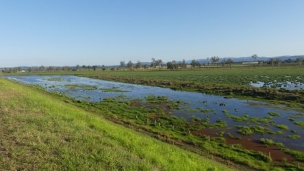 Lake Clarendon 025 P1000980 scaled Lake Clarendon 025 P1000980 scaled