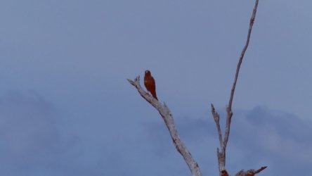 Lake Clarendon 041 P1000996 scaled Lake Clarendon 041 P1000996 scaled