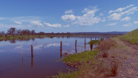 Lake Clarendon 050 P1010007 scaled Lake Clarendon 050 P1010007 scaled