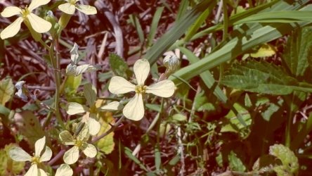 Lake Clarendon 053 P1010010 scaled Lake Clarendon 053 P1010010 scaled